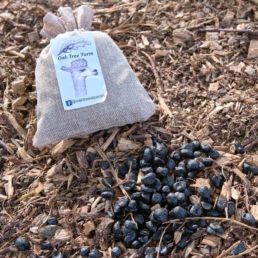 Support small businesses in Nottingham this year and shop local!!

Thenottinghamforager.com 

#smallbusinesslove #localbusiness #lovenottingham #Nottingham #smallbusiness #local #lovelocal #crafts #handmade #handmadewithlove #lovenotts #wearenottingham #alapacas #gifts