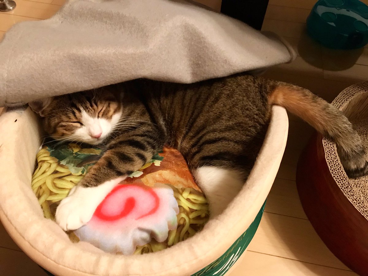 猫ラーメン