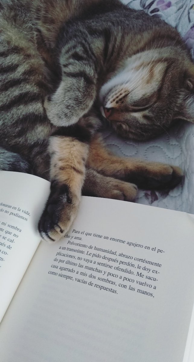 EliiDurieu's tweet photo. Este libro es magia 😍😍 @FernandoArambur https://t.co/Blxb0wDzQh