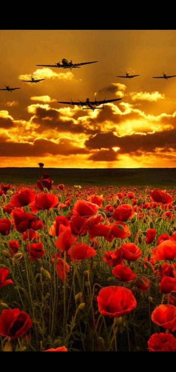 davemorton82's tweet photo. #lestweforget #RemembranceSunday https://t.co/epKKlNszrL