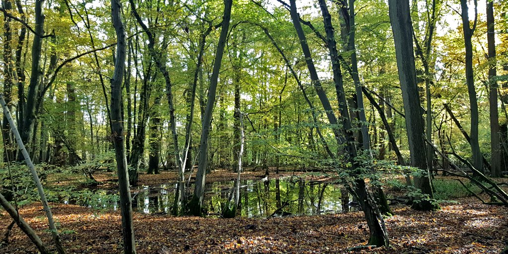 RadioLento's tweet photo. In the three hours we spent recording by the water and walking along the footpath going on to Hertford, we didn't see a single other person. 

It was a blissful day in a special place. Find some headphones and tune in to the quiet.

▶️ https://t.co/UxNhaUZAtV https://t.co/yHtClv35iY