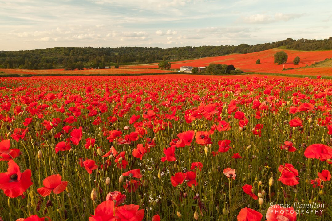 “We shall remember them.”

#RemembranceSunday #lestweforget #WorcestershireHour #ThePhotoHour