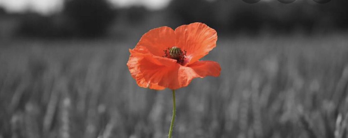 They shall grow not old, as we that are left grow old:  Age shall not weary them, nor the years condemn. At the going down of the sun and in the morning We will remember them. #RemembranceSunday  #RemembranceDay2020