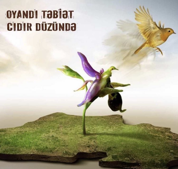 #KarabakhisAzerbaijan #SusaAzərbaycandır 🇦🇿🇦🇿🇦🇿🇦🇿🇦🇿