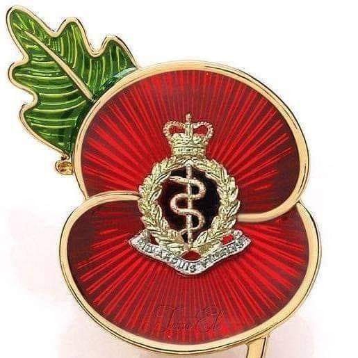 AMS Cycling tweet media