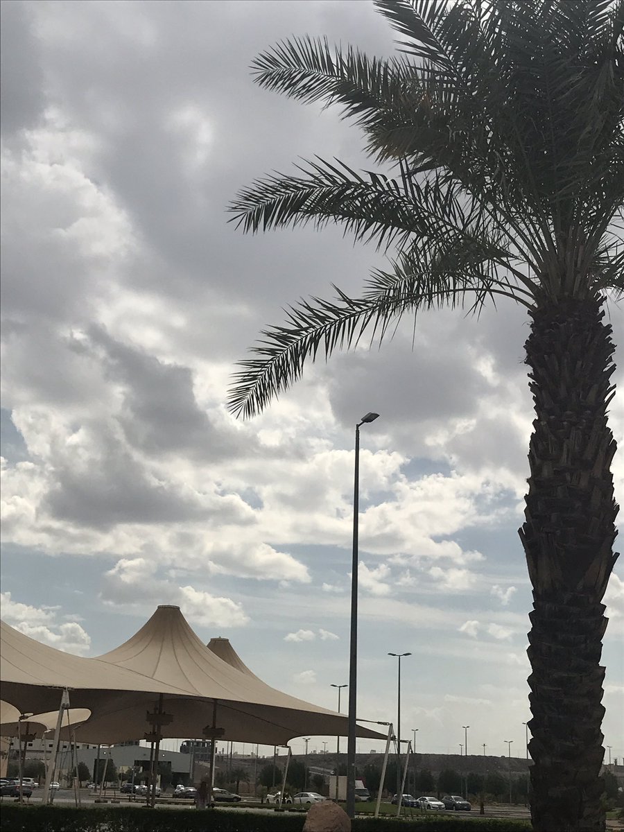 Lara41395349's tweet photo. من تصوير اليوم🖤🥺 https://t.co/4Ch0g32WXp