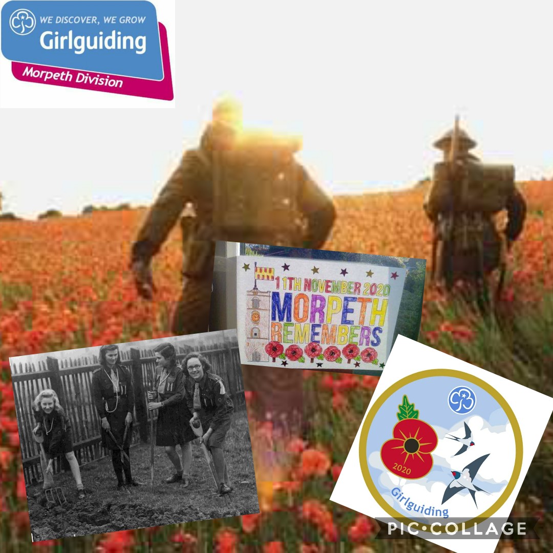 MORPETH DIVISION Girlguides tweet media