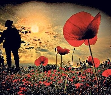 ArthurRoseRec's tweet photo. Lest we forget 

To all past and present service men and women thank you.

#RemembranceSunday2020 #RemembranceSunday https://t.co/Rvam8VKElI