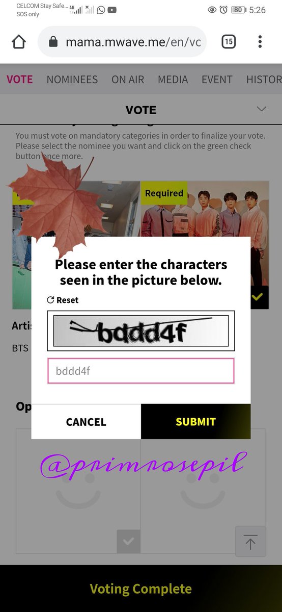 Proof must include screenshots of:- choice: DAY6 (Best Band Performance)- code for submitting vote- 'Voting complete' statement*make sure to not crop the time*pls include twt username in each pics