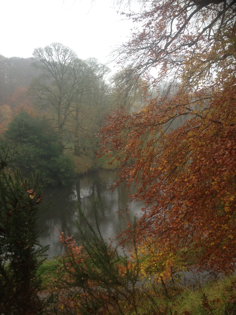 aldamu_jo's tweet photo. Igandeko ibilaldia , udazkeneko goiz euritsua. Belfasteko #Shawsbridge-an. eguerdion. https://t.co/ZnEF5TARef