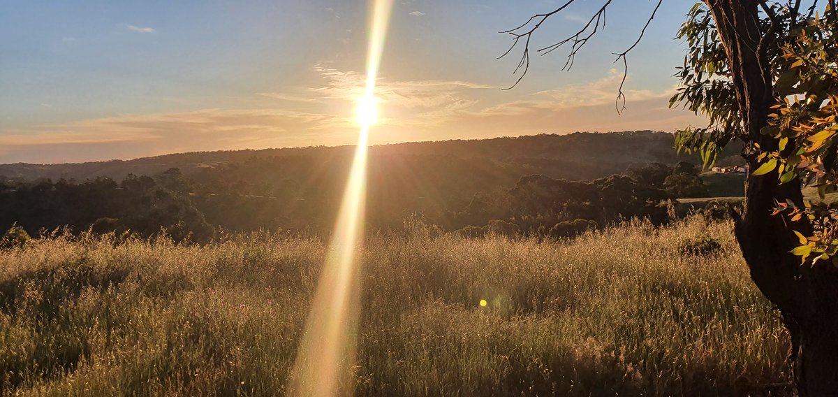 Great day to open a 1997 <a href="/penfolds/">Penfolds</a> Grange! Had this bottle for 12 years now. Thanks Penfolds, It was delicious! #wine #penfolds #grange #family