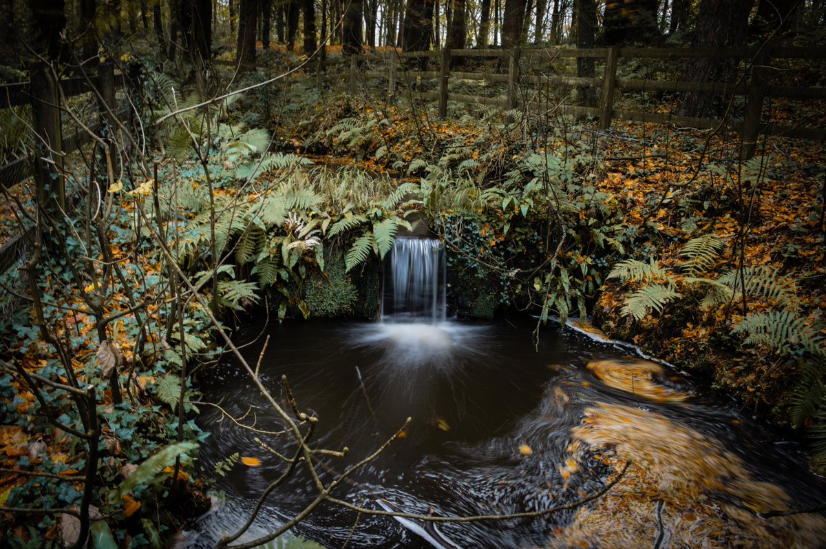 Nossah-Photo tweet media