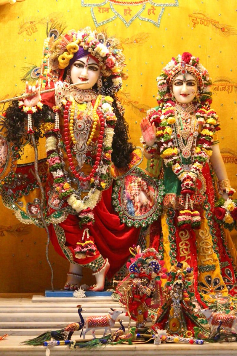 Damodar69884822's tweet photo. Todays Blissfull Darshan of #shrishriradhavrindavanchandra
@Ulhasnagar Centre
@AnandVrindavan Dham
For more details contact on-
+91-7066727666
+91-9284826810
#radhamadanmohan #krishna #radha #JaiJaganath #GaurNitai #JaiNarsinghdev #shrimadhusudanbapuji #damodardas #shreeradhe https://t.co/sKgoVuNSFz