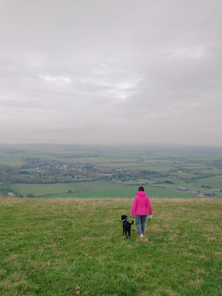 benwgarcia's tweet image. 🐕‍🦺 Sunday morning #NovemberLockdown exercise with Saska.