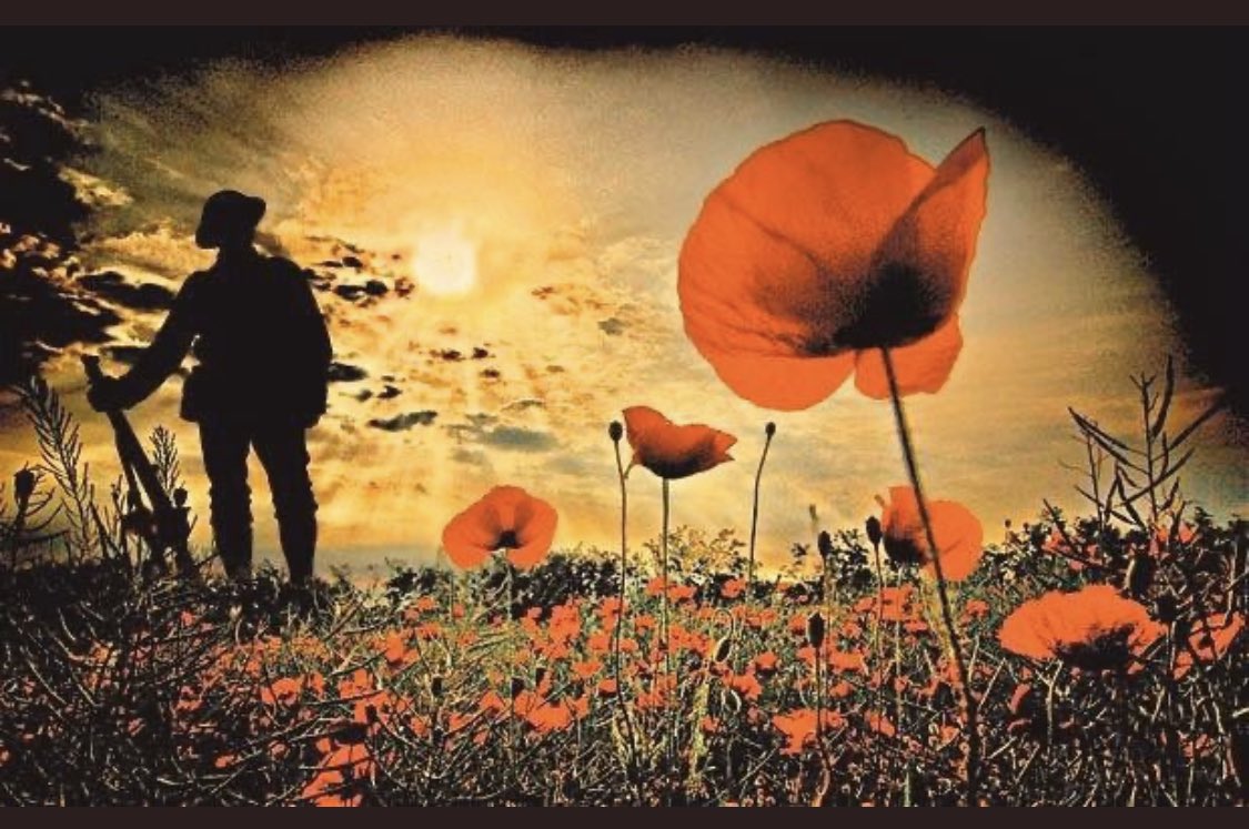 Karen Collins tweet media