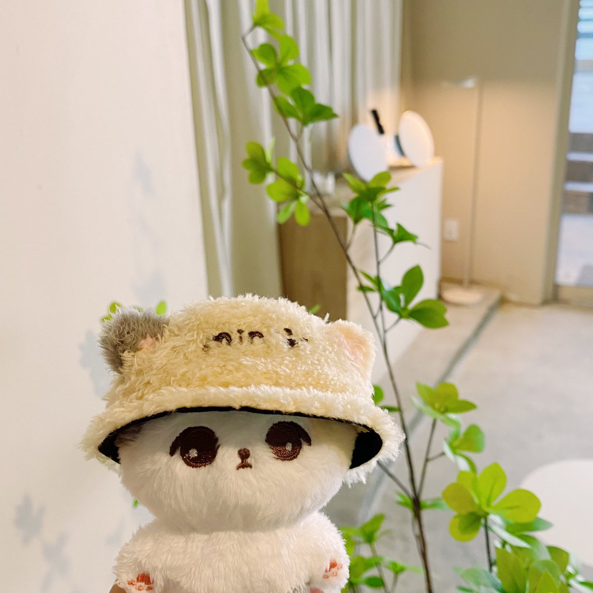 cutiepieminmin's tweet photo. 🌿 https://t.co/ewEbW1kWQs