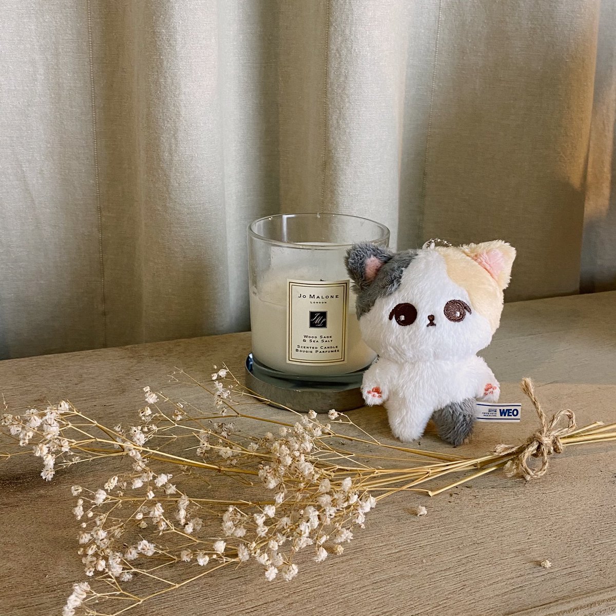 cutiepieminmin's tweet photo. 🌿 https://t.co/ewEbW1kWQs