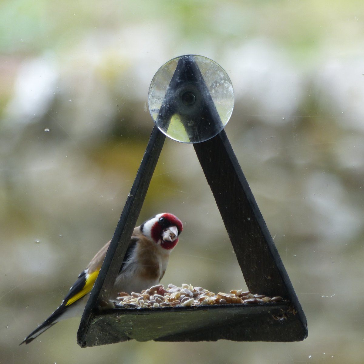 Slate and Nature tweet media