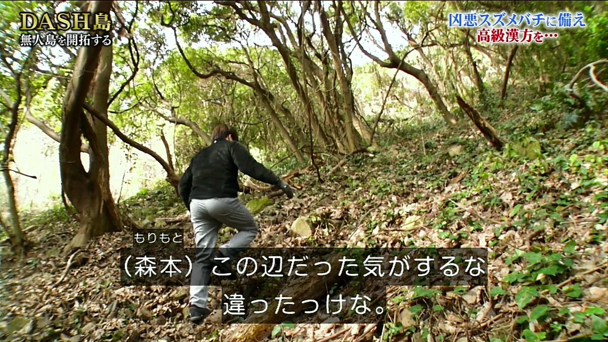 Dash島でヌタウナギに続きサルノコシカケ茶を習得した後輩ジャニーズ エグみと渋みが物凄い漆黒の液体を城島リーダーにプレゼント 鉄腕dash Togetter