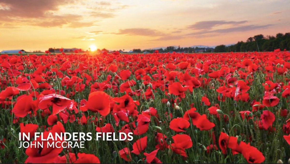 DMWS staff &amp; veterans we have supported pay tribute to the fallen this #RememberanceDay by reading the poem 'In Flanders Fields', by Lieutenant-Colonel John McCrae. You can view here: vimeo.com/476270529

#RememberanceDay2020  #WeWillRememberThem