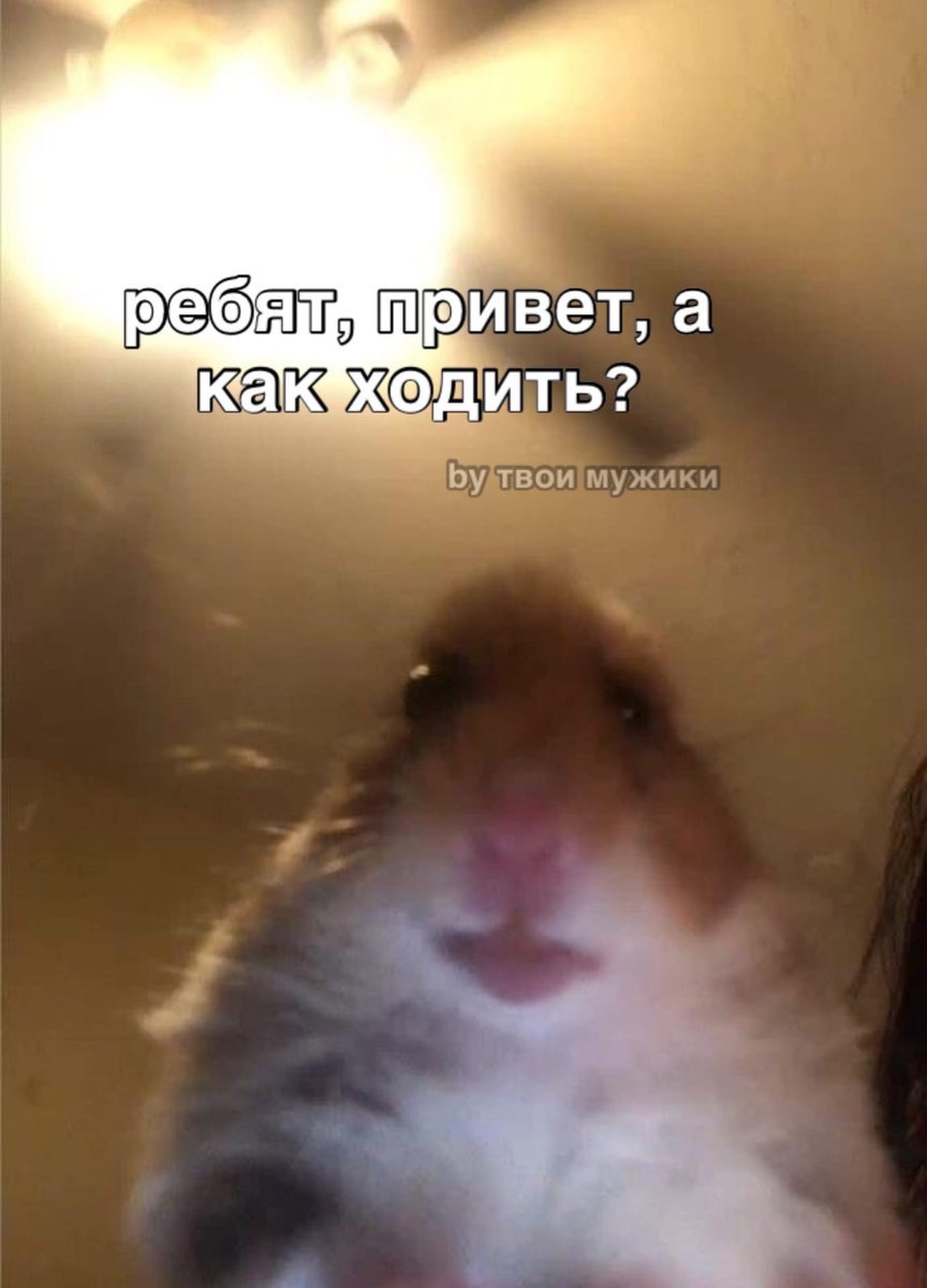 s0ff0chka's tweet photo. Я завтра после месяца учёбы домы выхожу в школу: https://t.co/HI0BZsManx