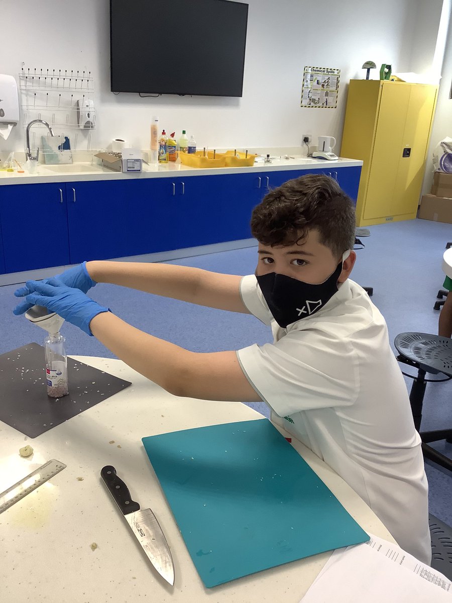 Year 7 | The Arbor School tweet media