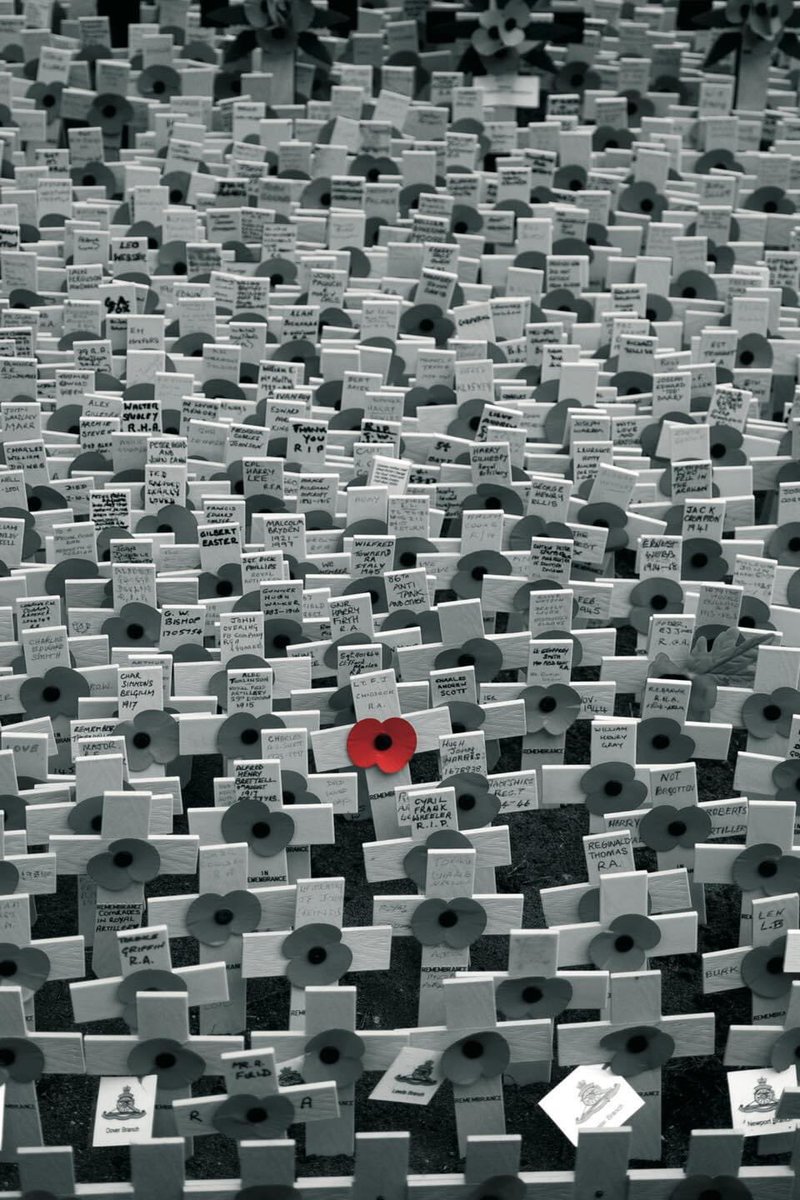 🌺They shall grow not old, as we that are left grow old:🌺
🌺Age shall not weary them, nor the years condemn.🌺
🌺At the going down of the sun and in the morning🌺
🌺We will remember them.🌺

#LestWeForget #AbsentFriends