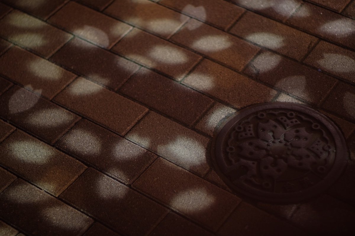 beacon_ahumi's tweet photo. 銀座お散歩🚶♂️🚶♀️
#FUJIFILM #富士フィルム
#XE3 #xe3
#フィルムシュミレーション
#supermulticoated #takumar 50mm f 1.4
#オールドレンズ https://t.co/INqYDecFex