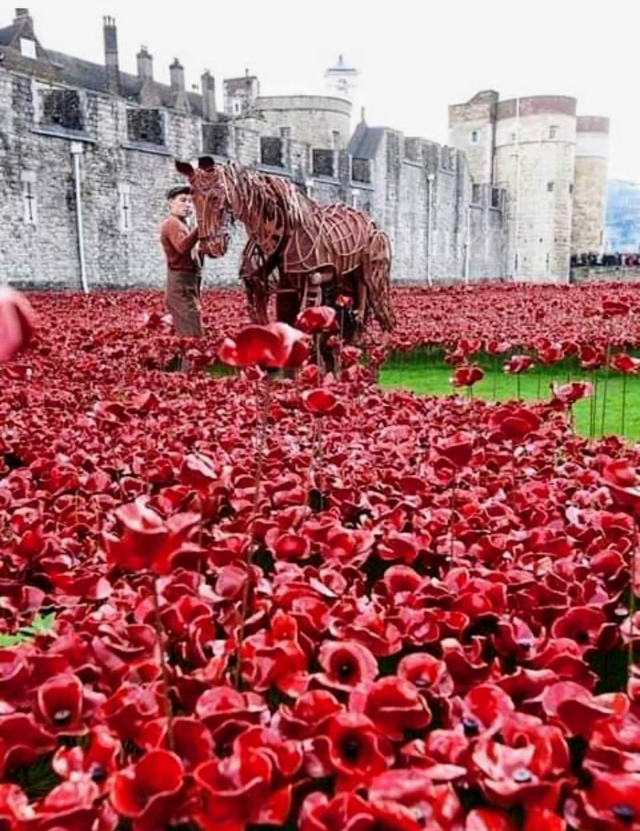 JanuaryRees's tweet image. 