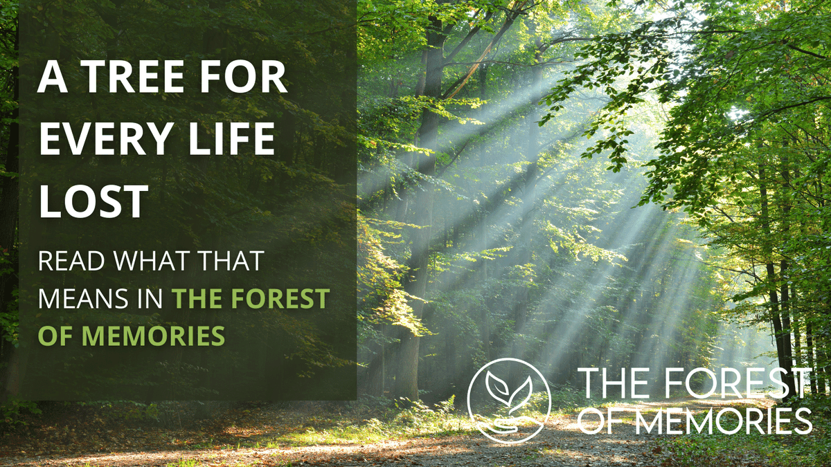 ForestOfMemory's tweet photo. Discover how The Forest of Memories, with your help, will dedicate 65,000 trees in memory of all those taken because of Covid-19 🌳 https://t.co/WAsw18ypNU
#TheForestofMemories #Inmemory #Memory #Remember #Remembrance #Plant #MemoryForest #MemoryTrees https://t.co/8MNdA8kTxL