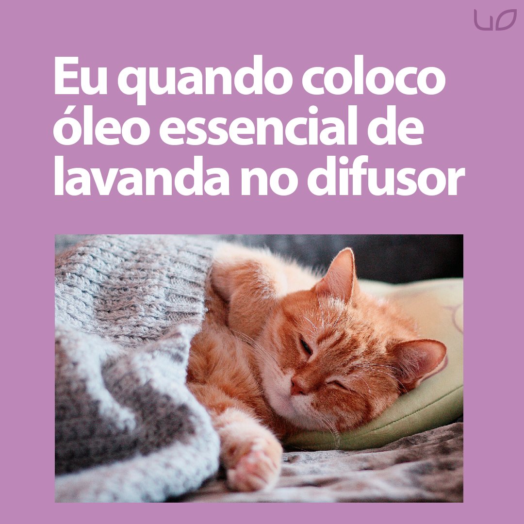 useorganico's tweet photo. Quem também tá assim nesse domingo? 😌💜 https://t.co/frUj0oJ9HJ