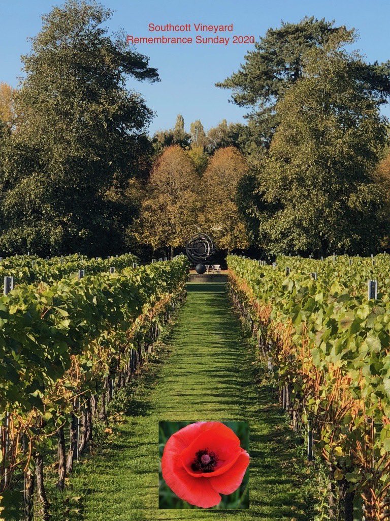 Southcott Vineyard tweet media