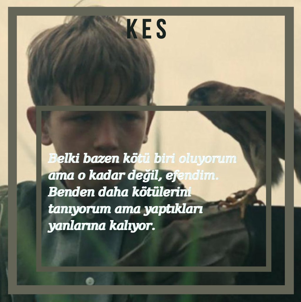 Kırmızı Halı! tweet media