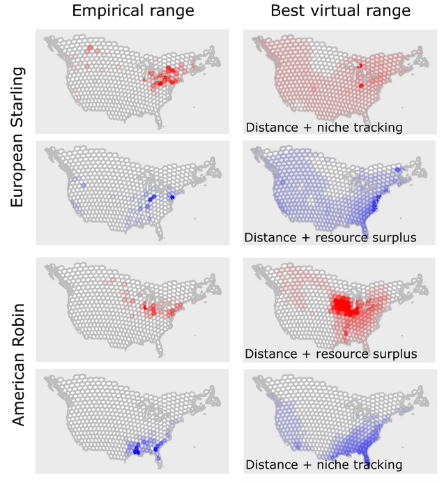 Oikos_Journal's tweet photo. Exploring intraspecific variation in migratory destinations to investigate the drivers of migration
https://t.co/xNrou89jG7 - Bonnet-Lebrun et al. 2020
@wileyecology @NordicOikos #bird #ornithology #migration #resourcesurplus #ringing #passerines #nichetracking #avian #climate https://t.co/dvGp8DEy8P