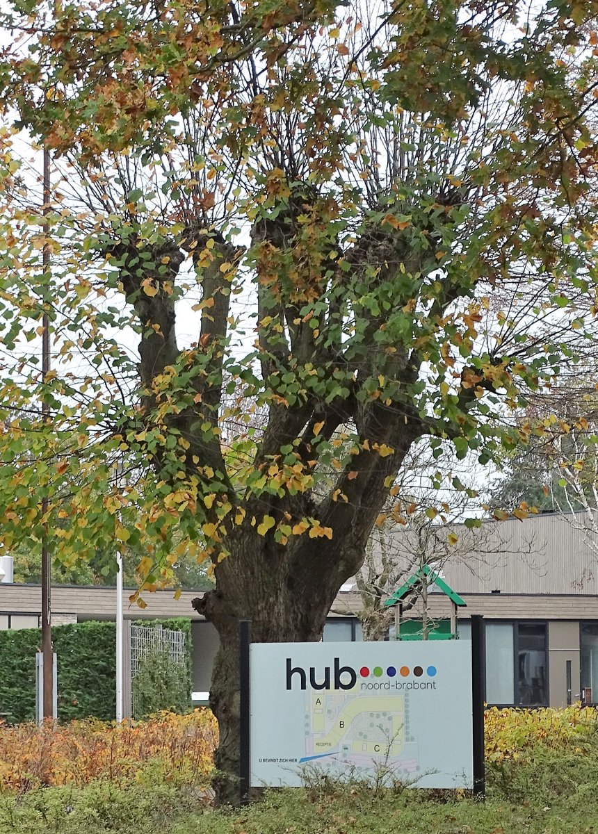 Rondje Nuland 🚶🚶‍♀️ waterleidingbossen 7 km