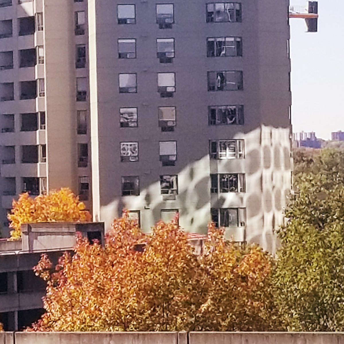 ontario_love's tweet photo. I love the reflection pattern on this building! It's do fluid throughout the day.
#ldnont
#downtown
#glassreflections
#patterns
#fall
#November https://t.co/qf47CT4VZr
