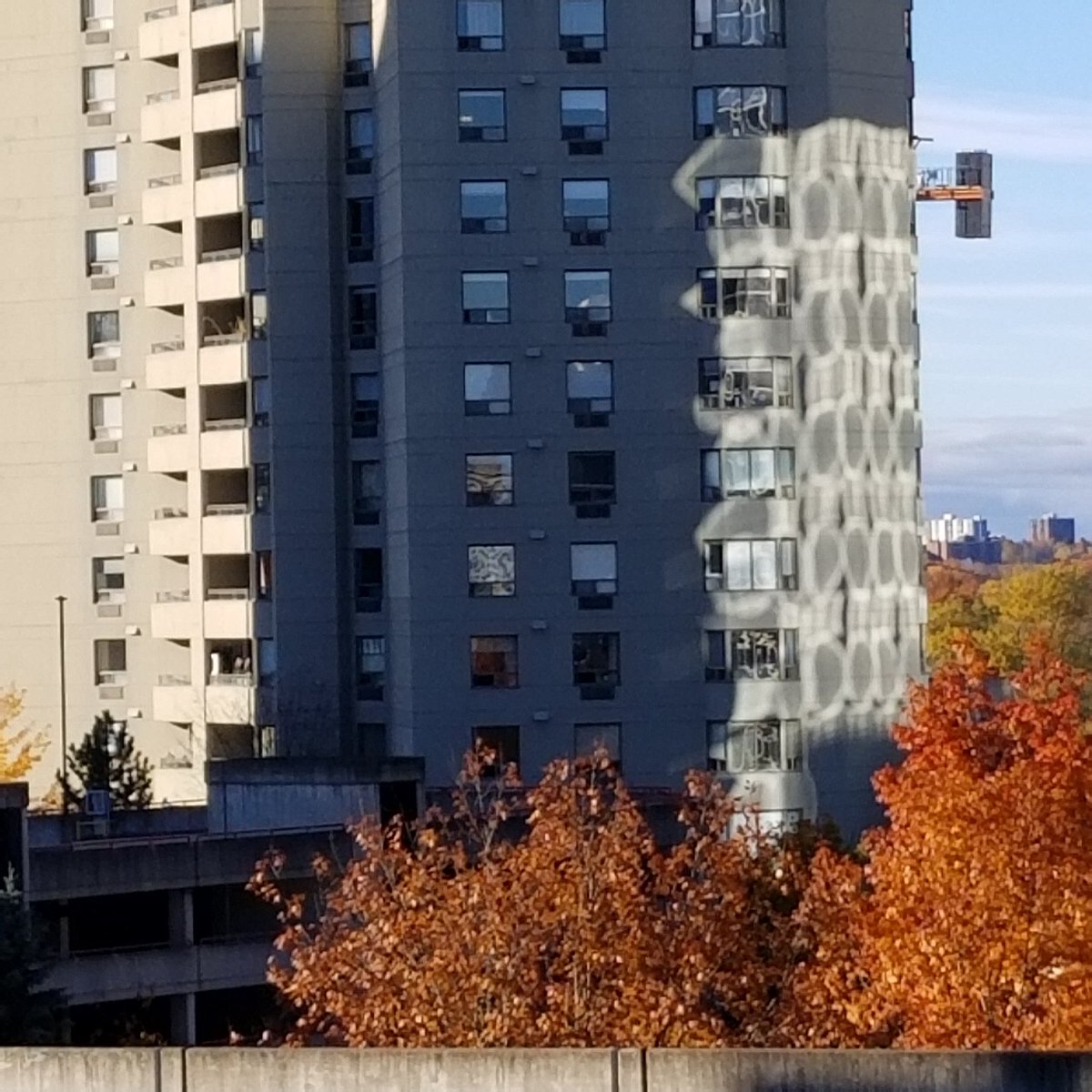 ontario_love's tweet photo. I love the reflection pattern on this building! It's do fluid throughout the day.
#ldnont
#downtown
#glassreflections
#patterns
#fall
#November https://t.co/qf47CT4VZr