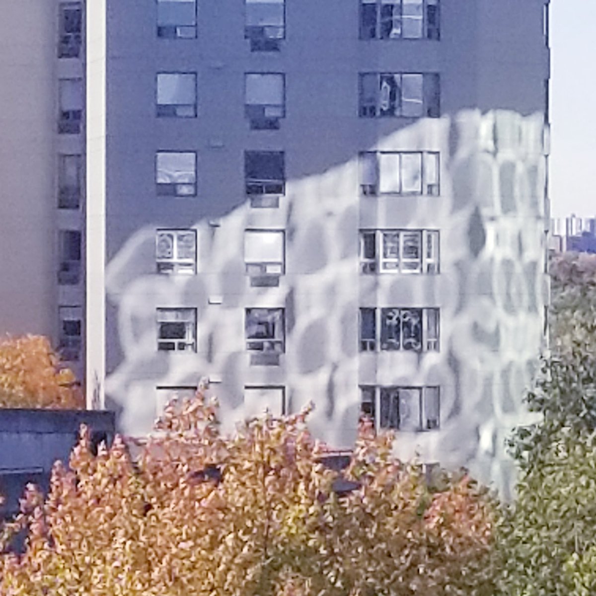 ontario_love's tweet photo. I love the reflection pattern on this building! It's do fluid throughout the day.
#ldnont
#downtown
#glassreflections
#patterns
#fall
#November https://t.co/qf47CT4VZr