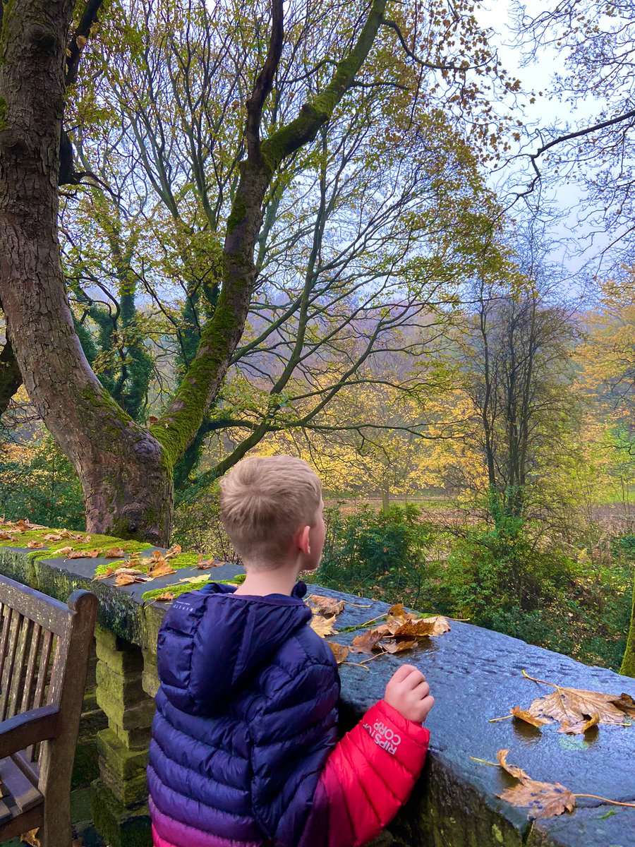 ClosedAccountNT's tweet image. Another walk around @shibdenpark @ShibdenHall but this time with my boys and mist!! #HauntinglyBeautiful