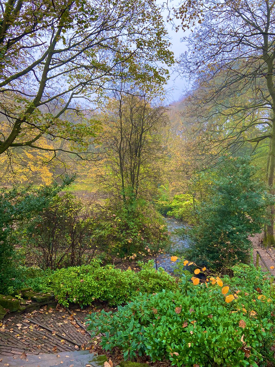 ClosedAccountNT's tweet image. Another walk around @shibdenpark @ShibdenHall but this time with my boys and mist!! #HauntinglyBeautiful