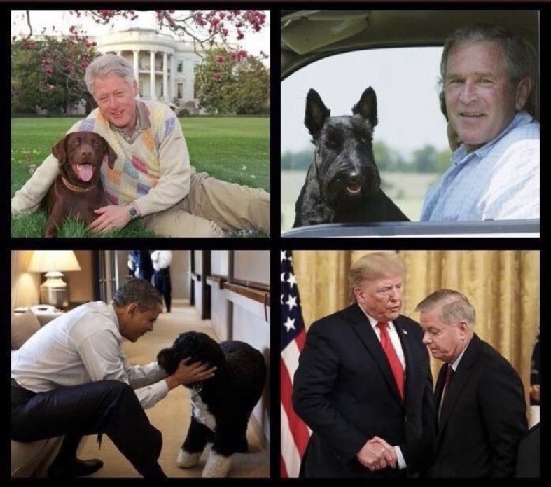 HammertimeAgain's tweet photo. #PresidentElectBiden #presidentialdogs #election
And just to update #Biden has a German Shepard ๐๐ป๐๐ป
Need I say more? ๐ค๐คก https://t.co/9Tg8xhA7zF