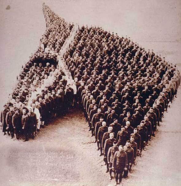 CVGEquine's tweet photo. Today we remember the countless brave horses, donkeys and mules who lost their lives during WW1 alongside their human comrades ♥️

 #RemembranceDay #LestWeForget

Photo Credit: GETTY https://t.co/OrQabiBAy6