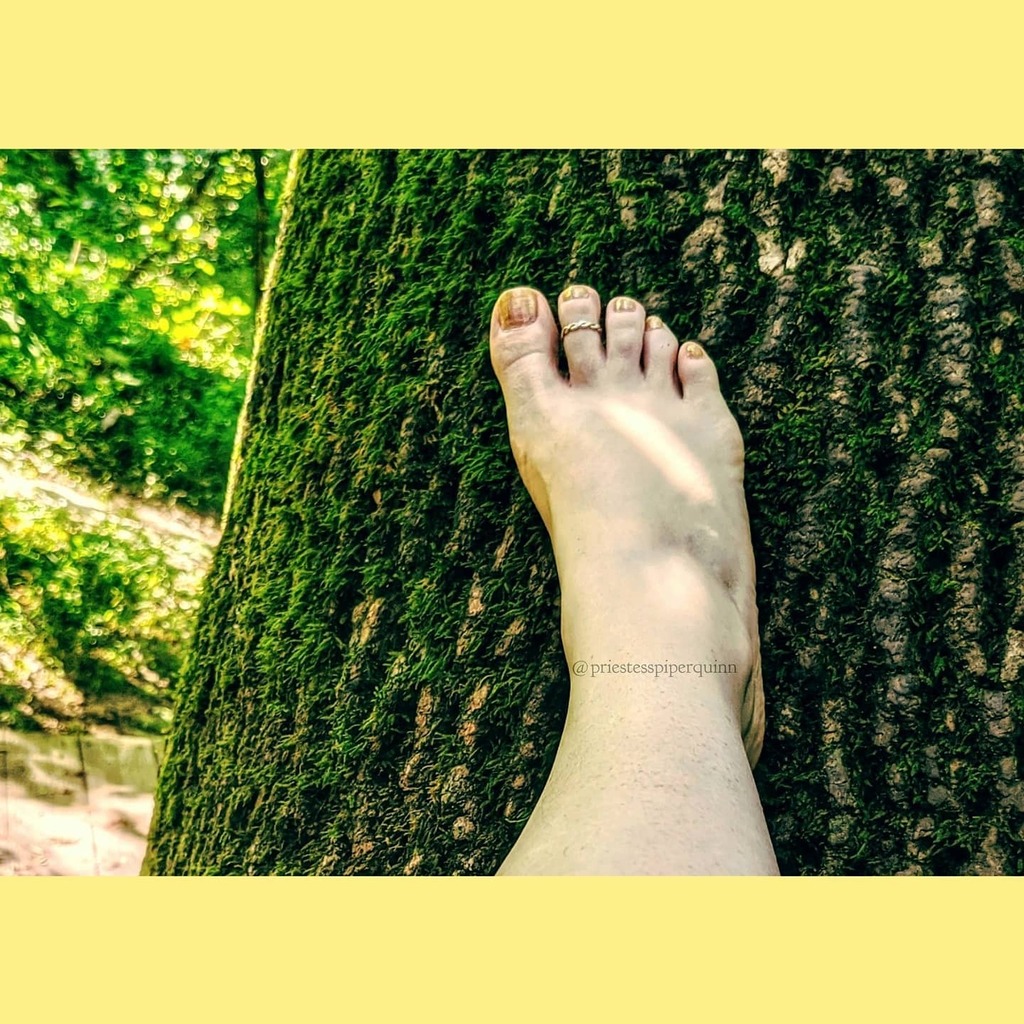 PriestessPQH's tweet photo. #Sunday #streching with this #beautiful #tree. A great way to ground yourself before you start the new week!
#bitchiownyou 
#notasugarbaby 
#priestesspiperquinn #feet #footfetishworld #footfetishnation #footfetishcommunity #footporn #cutefeet #feetporn #… https://t.co/OtXflHUZwr https://t.co/wPfbTFtjJ9