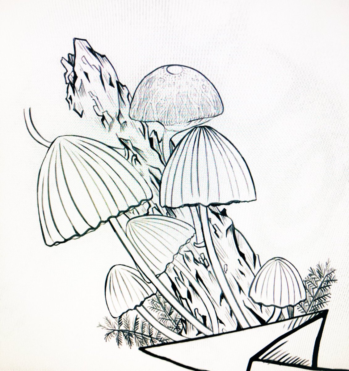 きのこ描くの楽しすぎか??🍄 