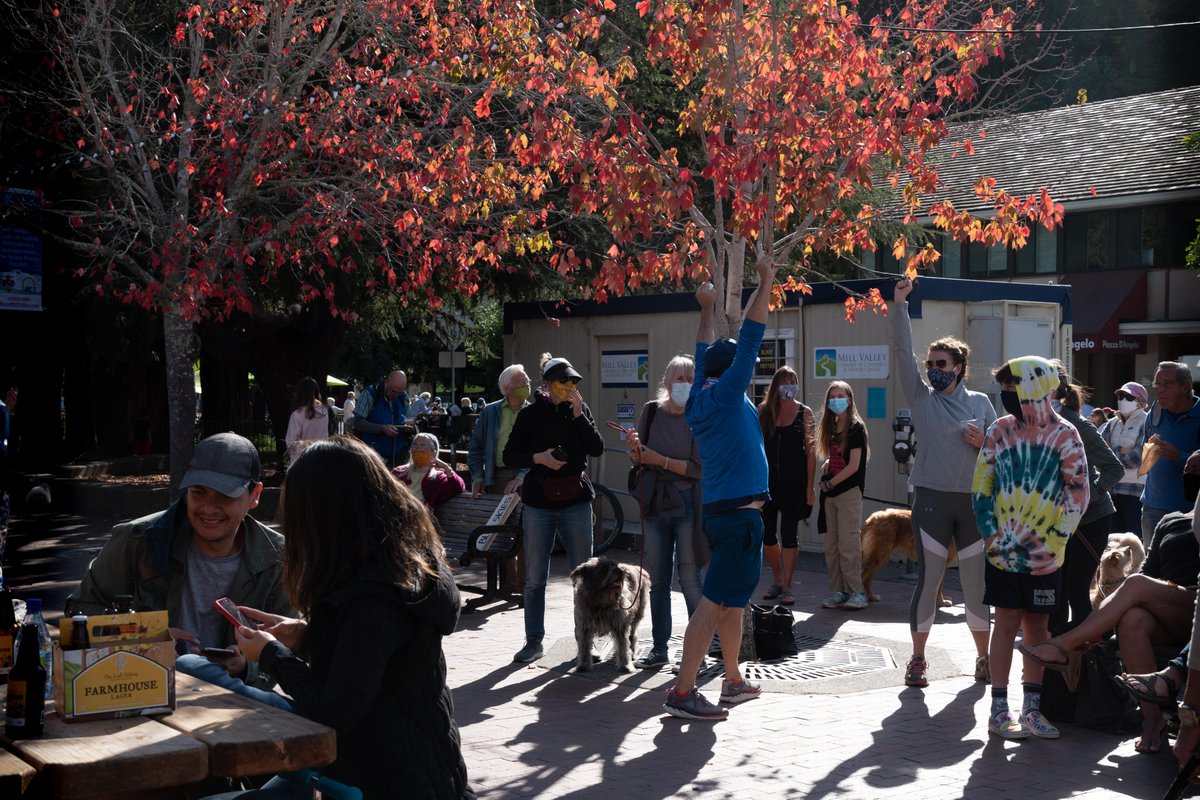 suzlipman's tweet image. "This is how people behave when dictatorships fall"– @Eugene_Robinson @MSNBC on the joyous celebrations for #BidenHarris2020 that spilled into city streets &amp;amp; town squares (like mine) yesterday. We must never take democracy for granted again. We must work like hell to protect it.