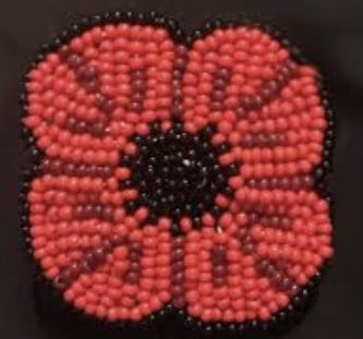 Suzanne Hoffman tweet media