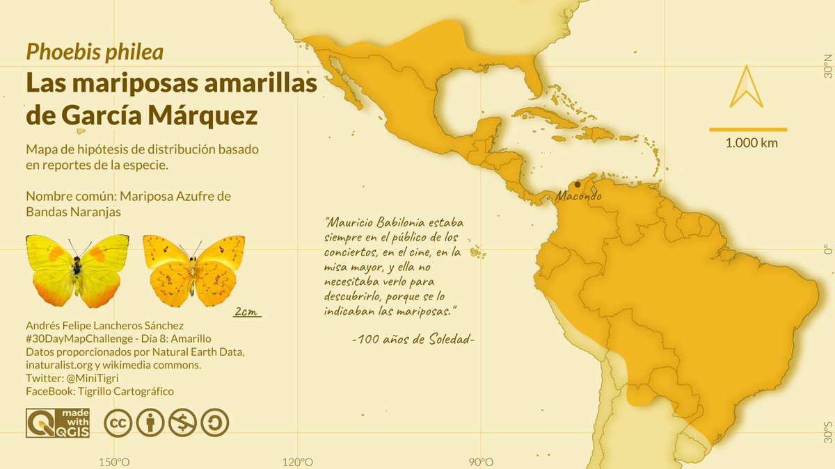 MiniTigri's tweet photo. (Eng/Esp) #30DayMapChallenge - Day 8: Yellow. nobel price  novel 100 years of solitude butterflies hypothetical distribution. #Qgis #García #Marquez #Colombia https://t.co/5HvV0Hcr5q