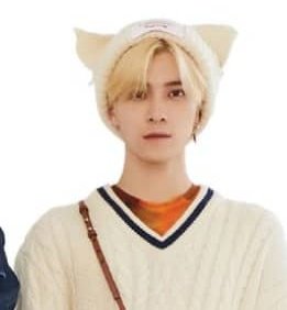 hendery as ragdolls 🐱 tweet media