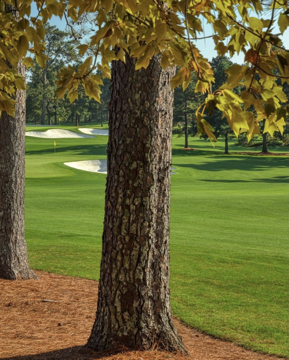 GOLF_com's tweet photo. So that’s what Augusta in November looks like 👀 

(via @TheMasters) https://t.co/ns4xHVC7Wg