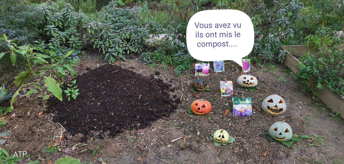 JardiniersDu4em's tweet photo. Récolte ce matin du compost
arrivé à maturation...
et dépôt dans le jardin ...
merci Jérôme Patrick référants
#compost et à Didier et Alain...
@compostezparis4
#compostons
#ParisCentre #Paris https://t.co/vD4VspDOWv